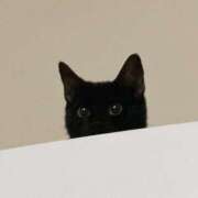 ヒメ日記 2025/12/02 07:27 投稿 りつ☆小柄で清楚実は...♪ ポポロン☆広島