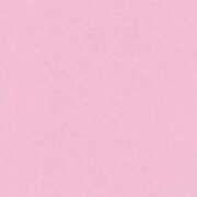 ヒメ日記 2025/12/13 18:28 投稿 るな 西東京市小平ちゃんこ