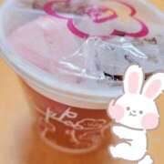 ヒメ日記 2026/03/02 10:40 投稿 じゅん 台北(たいぺい）