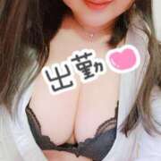 ヒメ日記 2026/04/24 10:50 投稿 じゅん 台北(たいぺい）