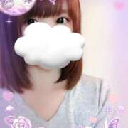 ヒメ日記 2026/02/04 20:30 投稿 ひろみ 台北(たいぺい）