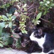 ヒメ日記 2026/01/09 18:02 投稿 ちなつ 台北(たいぺい）