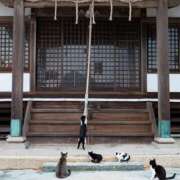 ヒメ日記 2026/01/10 10:50 投稿 ちなつ 台北(たいぺい）