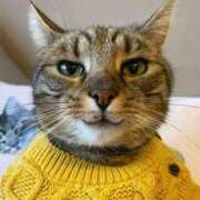 ヒメ日記 2026/01/11 14:10 投稿 ちなつ 台北(たいぺい）