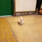 ヒメ日記 2026/01/12 17:40 投稿 ちなつ 台北(たいぺい）