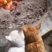 ヒメ日記 2026/01/14 12:10 投稿 ちなつ 台北(たいぺい）