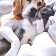 ヒメ日記 2026/01/18 16:00 投稿 ちなつ 台北(たいぺい）