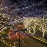 ヒメ日記 2026/01/19 19:10 投稿 ちなつ 台北(たいぺい）