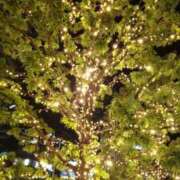 ヒメ日記 2026/01/22 19:10 投稿 ちなつ 台北(たいぺい）