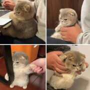 ヒメ日記 2026/01/24 12:10 投稿 ちなつ 台北(たいぺい）