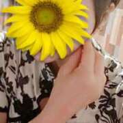 ヒメ日記 2026/01/26 22:30 投稿 ちなつ 台北(たいぺい）