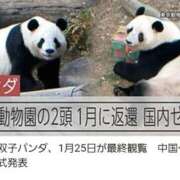 ヒメ日記 2026/01/27 12:10 投稿 ちなつ 台北(たいぺい）