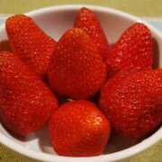 ヒメ日記 2026/01/28 12:15 投稿 ちなつ 台北(たいぺい）