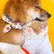 ヒメ日記 2026/01/31 11:40 投稿 ちなつ 台北(たいぺい）