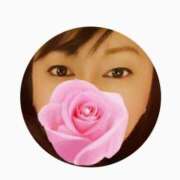 ヒメ日記 2026/01/31 14:10 投稿 ちなつ 台北(たいぺい）