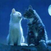 ヒメ日記 2026/02/01 12:10 投稿 ちなつ 台北(たいぺい）