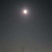 ヒメ日記 2026/02/01 19:40 投稿 ちなつ 台北(たいぺい）