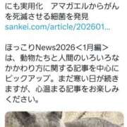 ヒメ日記 2026/02/03 20:30 投稿 ちなつ 台北(たいぺい）