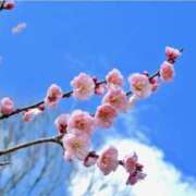 ヒメ日記 2026/02/04 07:35 投稿 ちなつ 台北(たいぺい）