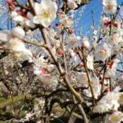 ヒメ日記 2026/02/05 15:40 投稿 ちなつ 台北(たいぺい）