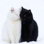 ヒメ日記 2026/02/07 14:10 投稿 ちなつ 台北(たいぺい）