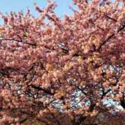 ヒメ日記 2026/02/07 14:20 投稿 ちなつ 台北(たいぺい）