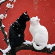 ヒメ日記 2026/02/08 14:30 投稿 ちなつ 台北(たいぺい）