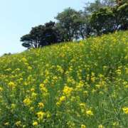 ヒメ日記 2026/02/08 14:35 投稿 ちなつ 台北(たいぺい）