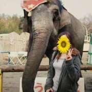 ヒメ日記 2026/02/08 22:10 投稿 ちなつ 台北(たいぺい）