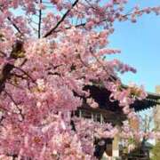 ヒメ日記 2026/02/09 17:10 投稿 ちなつ 台北(たいぺい）