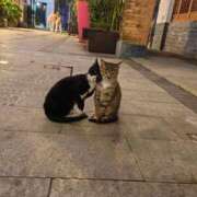 ヒメ日記 2026/02/11 09:30 投稿 ちなつ 台北(たいぺい）