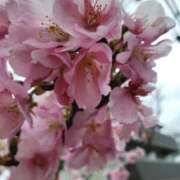 ヒメ日記 2026/02/13 17:50 投稿 ちなつ 台北(たいぺい）