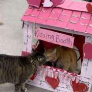 ヒメ日記 2026/02/14 12:10 投稿 ちなつ 台北(たいぺい）