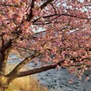 ヒメ日記 2026/02/14 16:00 投稿 ちなつ 台北(たいぺい）