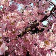 ヒメ日記 2026/02/15 14:45 投稿 ちなつ 台北(たいぺい）