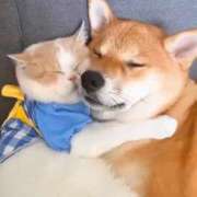 ヒメ日記 2026/02/18 15:20 投稿 ちなつ 台北(たいぺい）