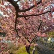 ヒメ日記 2026/02/18 15:40 投稿 ちなつ 台北(たいぺい）