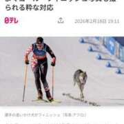 ヒメ日記 2026/02/19 19:10 投稿 ちなつ 台北(たいぺい）