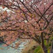 ヒメ日記 2026/02/20 17:10 投稿 ちなつ 台北(たいぺい）