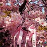 ヒメ日記 2026/02/21 15:40 投稿 ちなつ 台北(たいぺい）