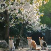 ヒメ日記 2026/02/22 14:10 投稿 ちなつ 台北(たいぺい）