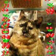 ヒメ日記 2026/02/22 14:15 投稿 ちなつ 台北(たいぺい）