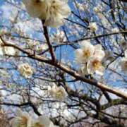 ヒメ日記 2026/02/22 15:40 投稿 ちなつ 台北(たいぺい）