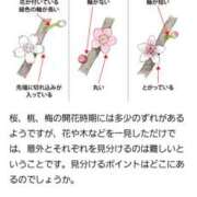 ヒメ日記 2026/02/23 19:17 投稿 ちなつ 台北(たいぺい）