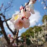 ヒメ日記 2026/02/24 17:10 投稿 ちなつ 台北(たいぺい）