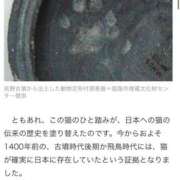 ヒメ日記 2026/02/24 19:10 投稿 ちなつ 台北(たいぺい）