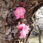 ヒメ日記 2026/02/25 12:15 投稿 ちなつ 台北(たいぺい）