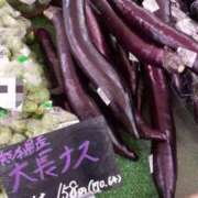 ヒメ日記 2026/02/25 18:20 投稿 ちなつ 台北(たいぺい）