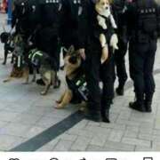 ヒメ日記 2026/02/26 19:10 投稿 ちなつ 台北(たいぺい）