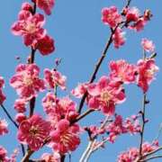 ヒメ日記 2026/02/27 17:31 投稿 ちなつ 台北(たいぺい）